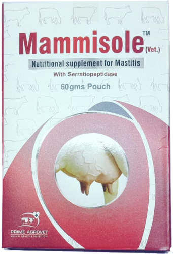 Mammisole Pack