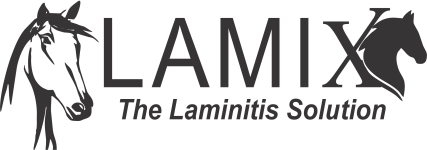 Lamix-Logo