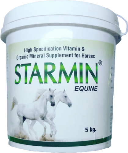 Starmin Equine